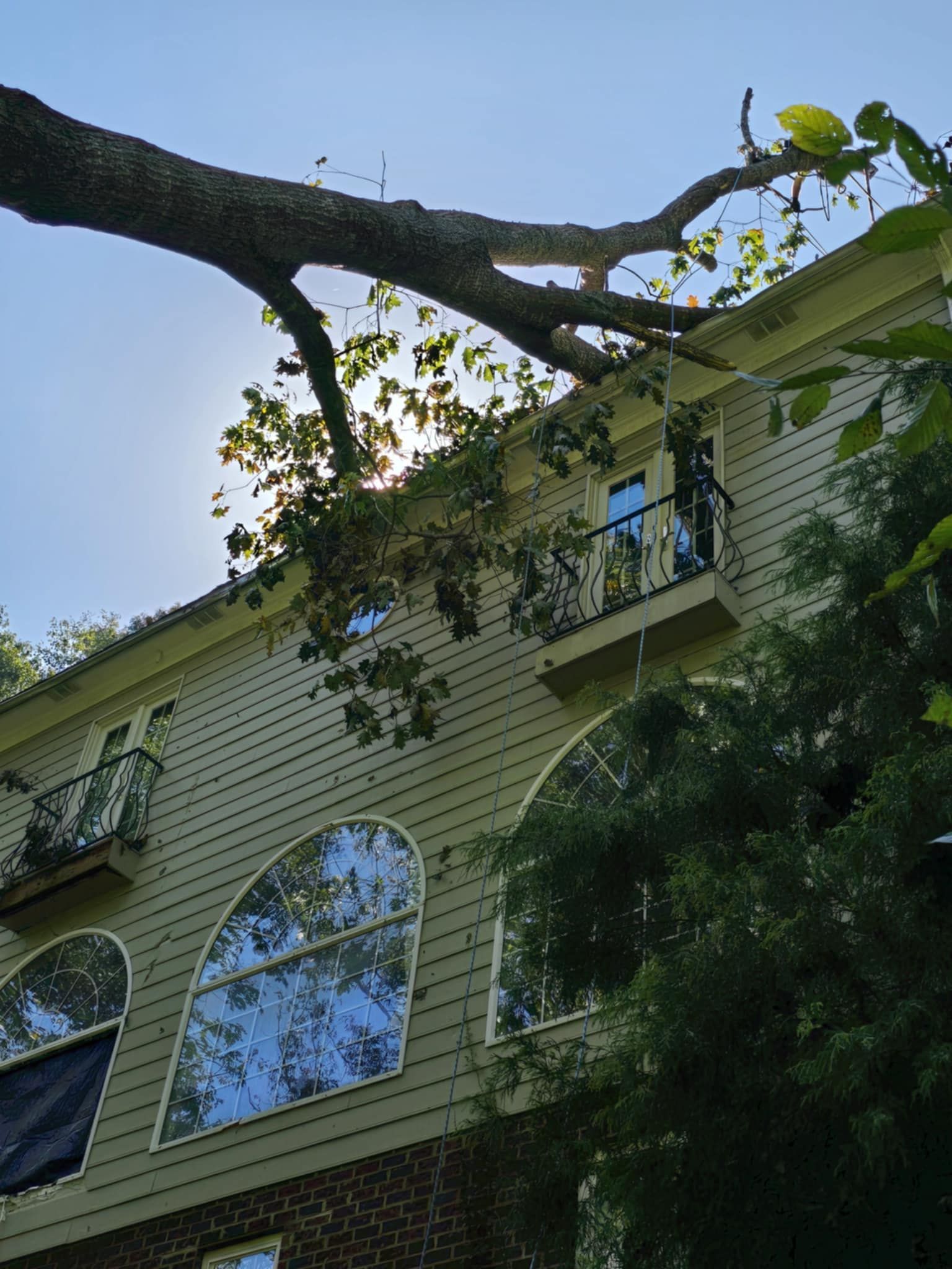 A large tree branch extends over the light-colored, multi-story house with balconies and arched windows.