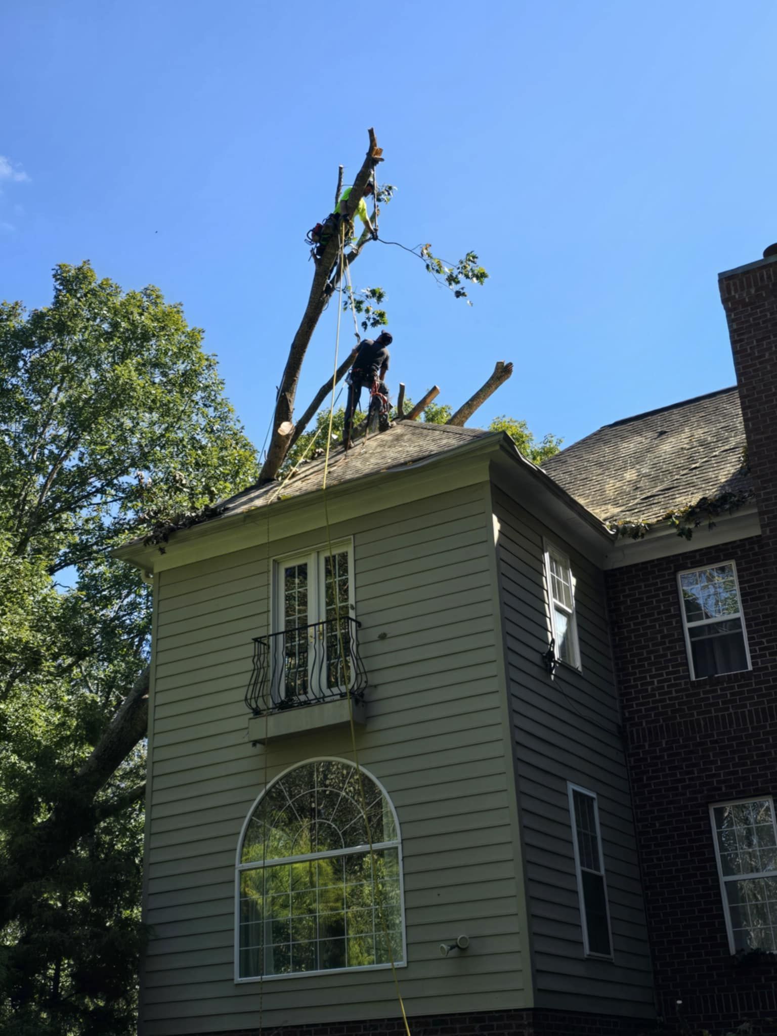 An arborist standing on a residential roof, trimming branches from a large tree looming over the house.