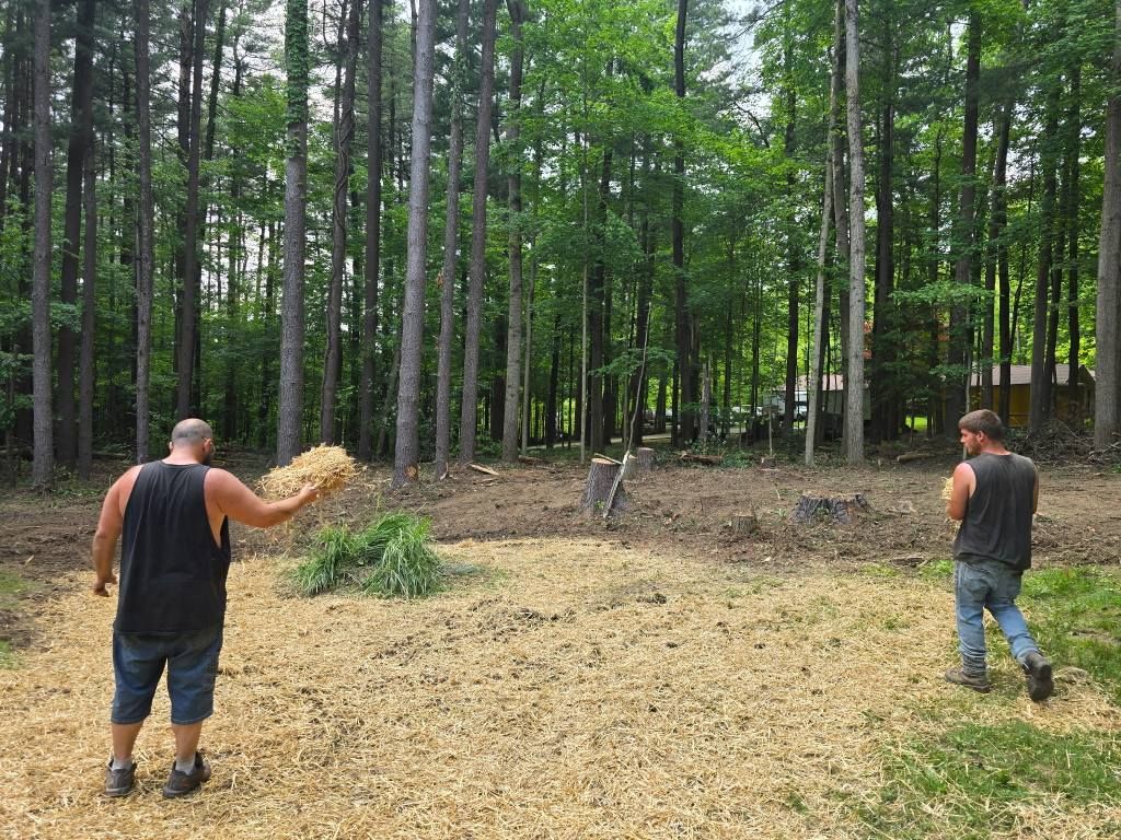 Two people stand in a clearing surrounded by woods, spreading straw over a patch of ground covered in wood chips.