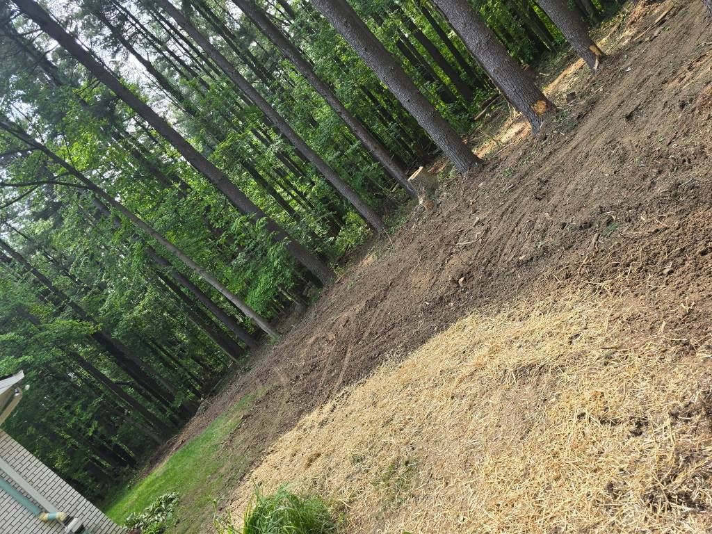 A sloped, partially cleared backyard featuring fresh wood chips, exposed soil, and a dense forest line in the background.