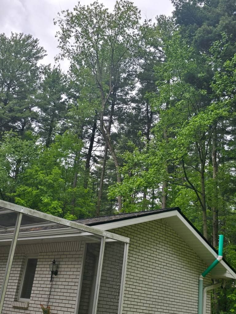A white brick house with a screened porch sits in front of a dense forest of tall green trees under a cloudy sky.