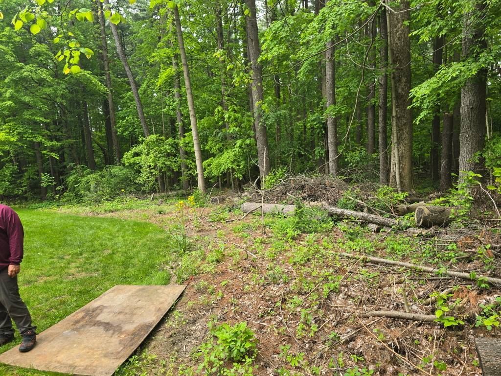 A person stands on a wooden platform near a mowed grassy lawn bordering a wooded area with fallen tree branches.