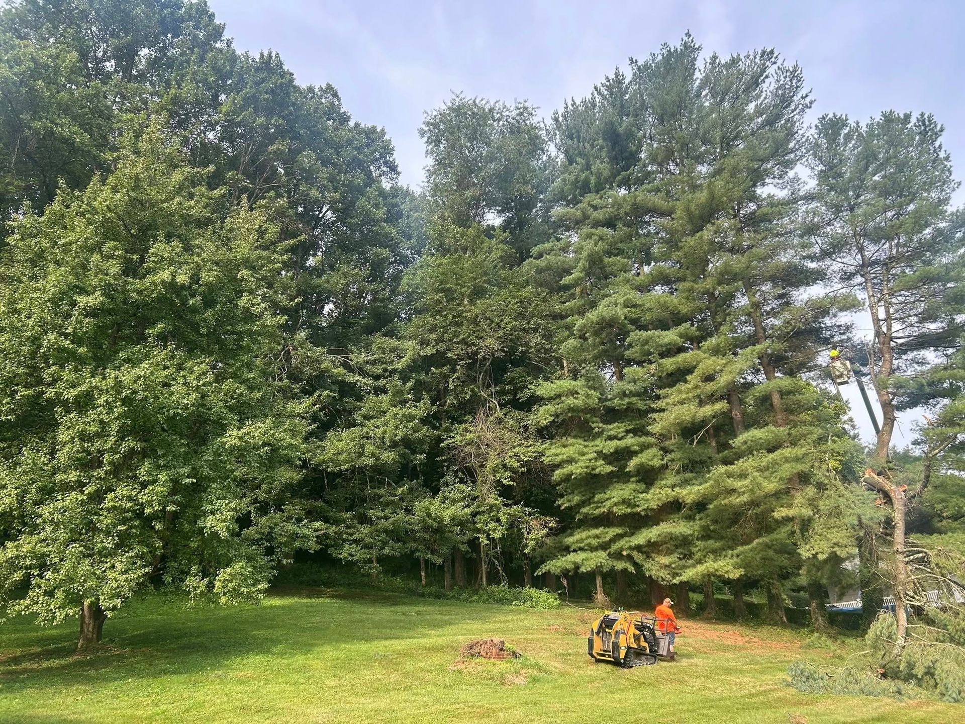A worker in an orange shirt operates machinery near a group of tall trees at the edge of a grassy lawn.
