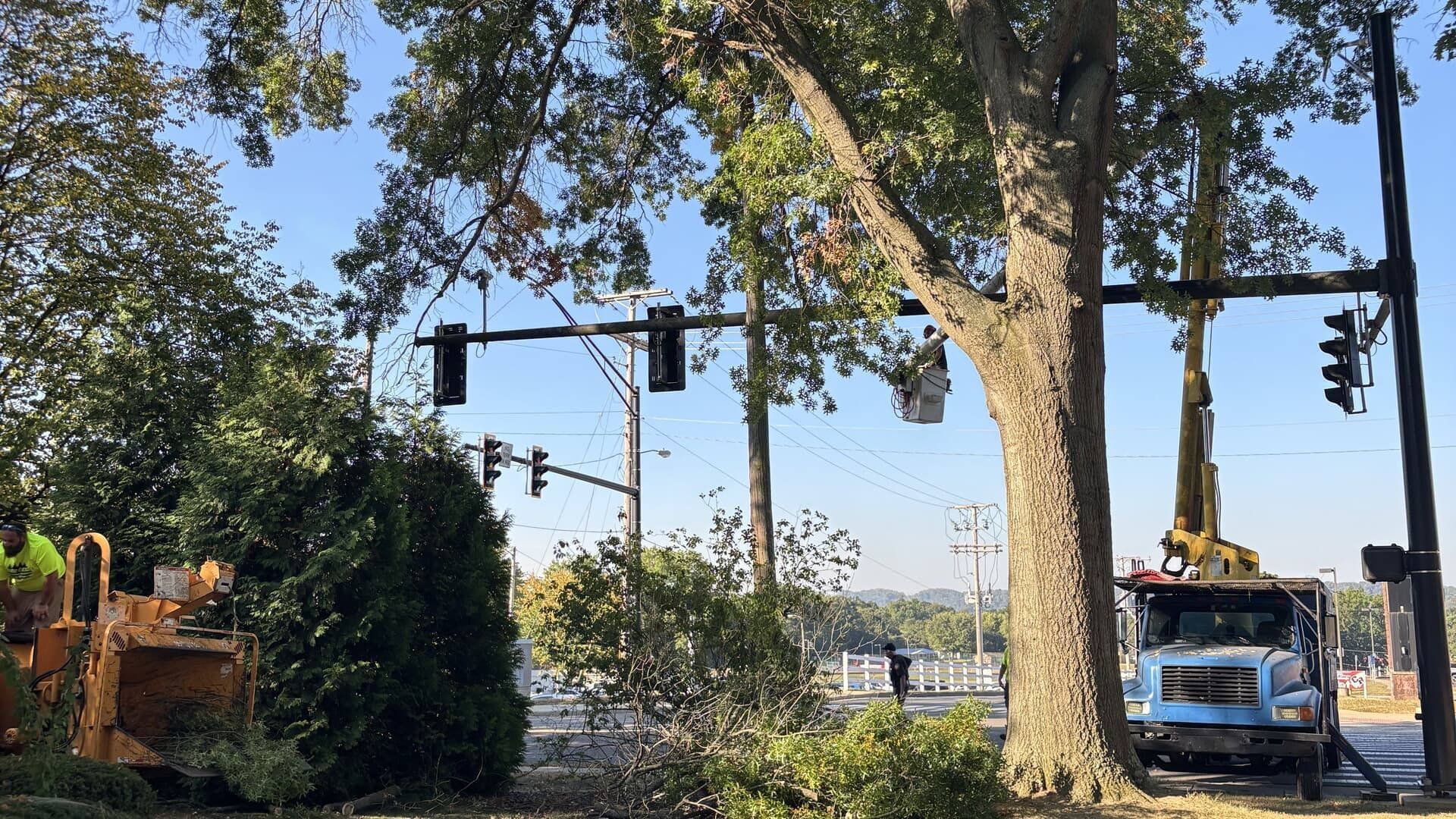 A maintenance truck with a raised boom arm works on tree branches near a traffic light intersection on a sunny day.