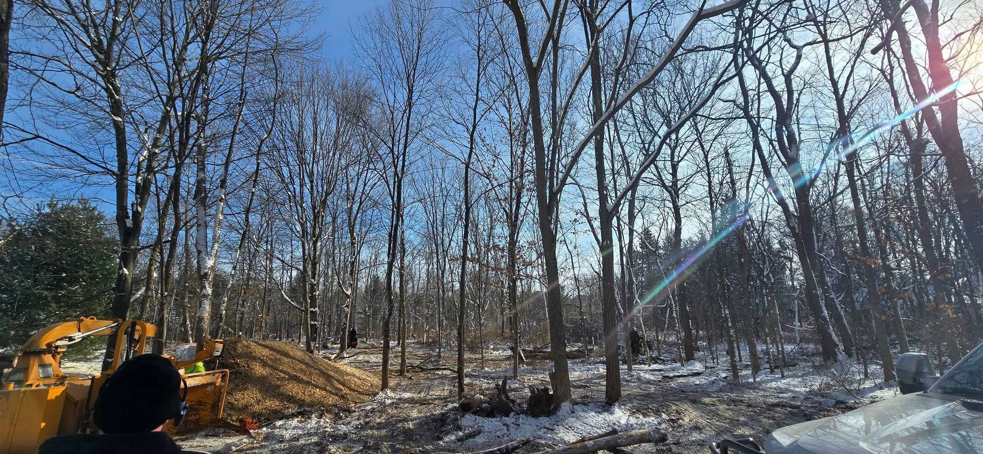 A sunny, snow-covered forest clearing with a yellow construction vehicle and a pile of dirt in the foreground.