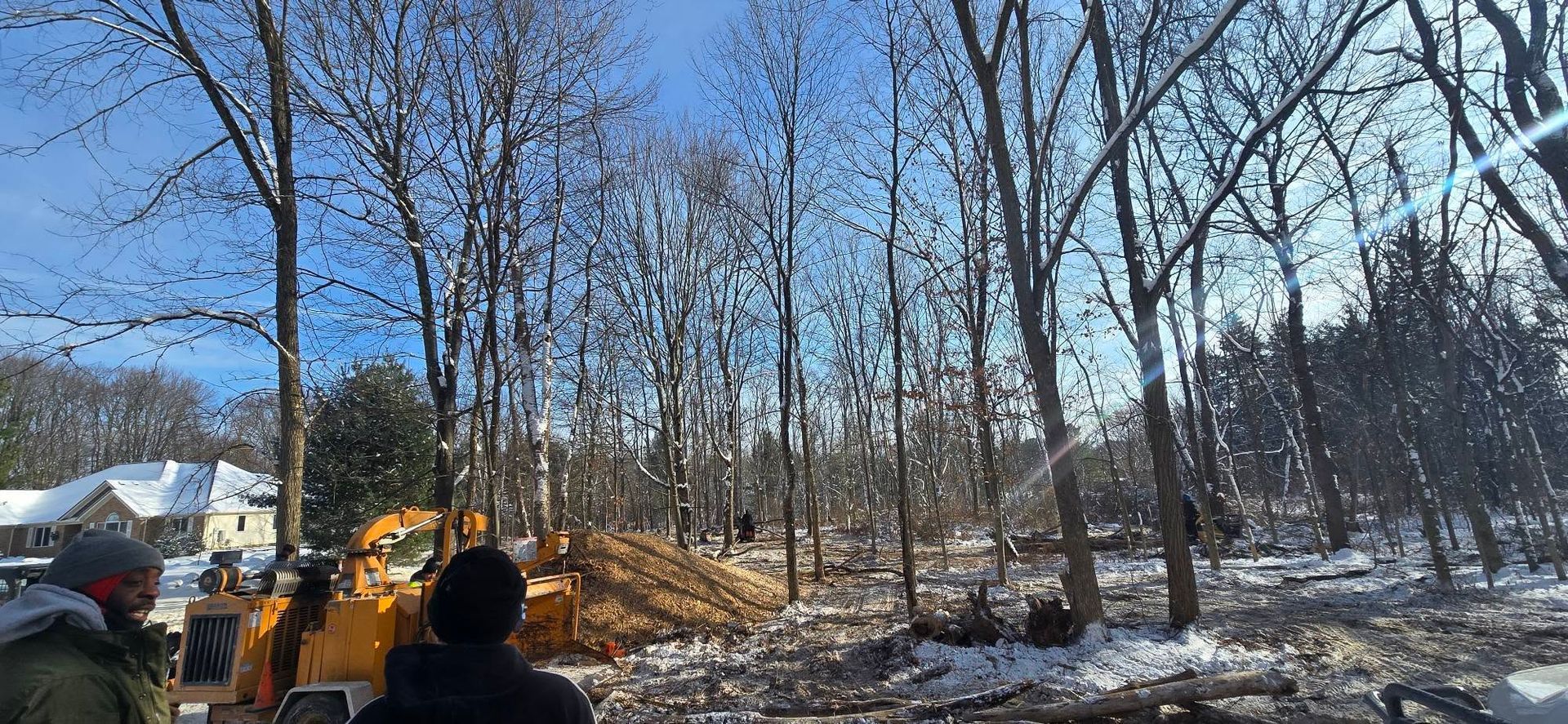 People watch a yellow construction vehicle clearing brush and wood chips in a snowy, sunlit wooded area.