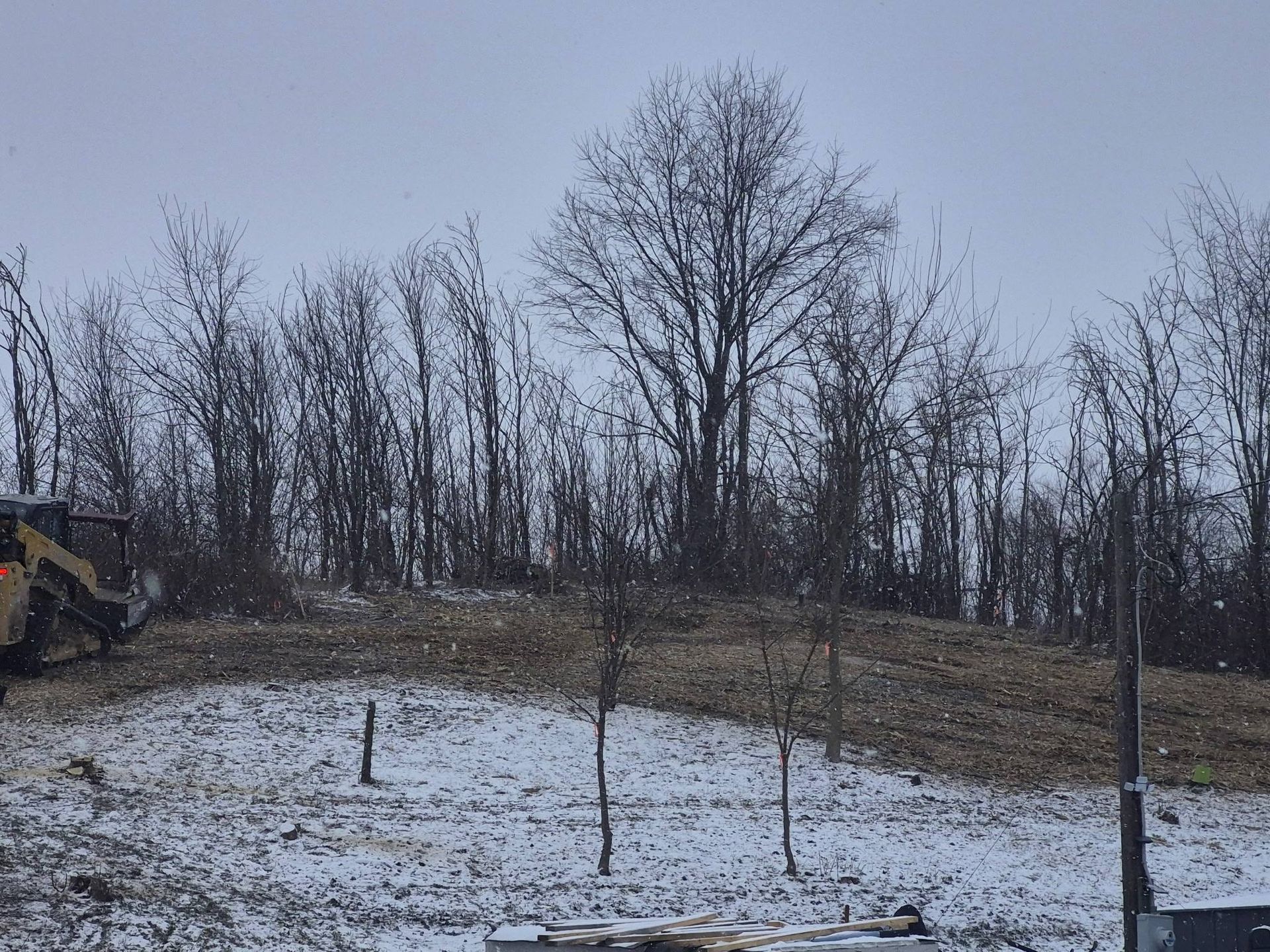 A yellow skid steer clears a brush-covered, snowy hill in front of a dense line of bare, winter trees.