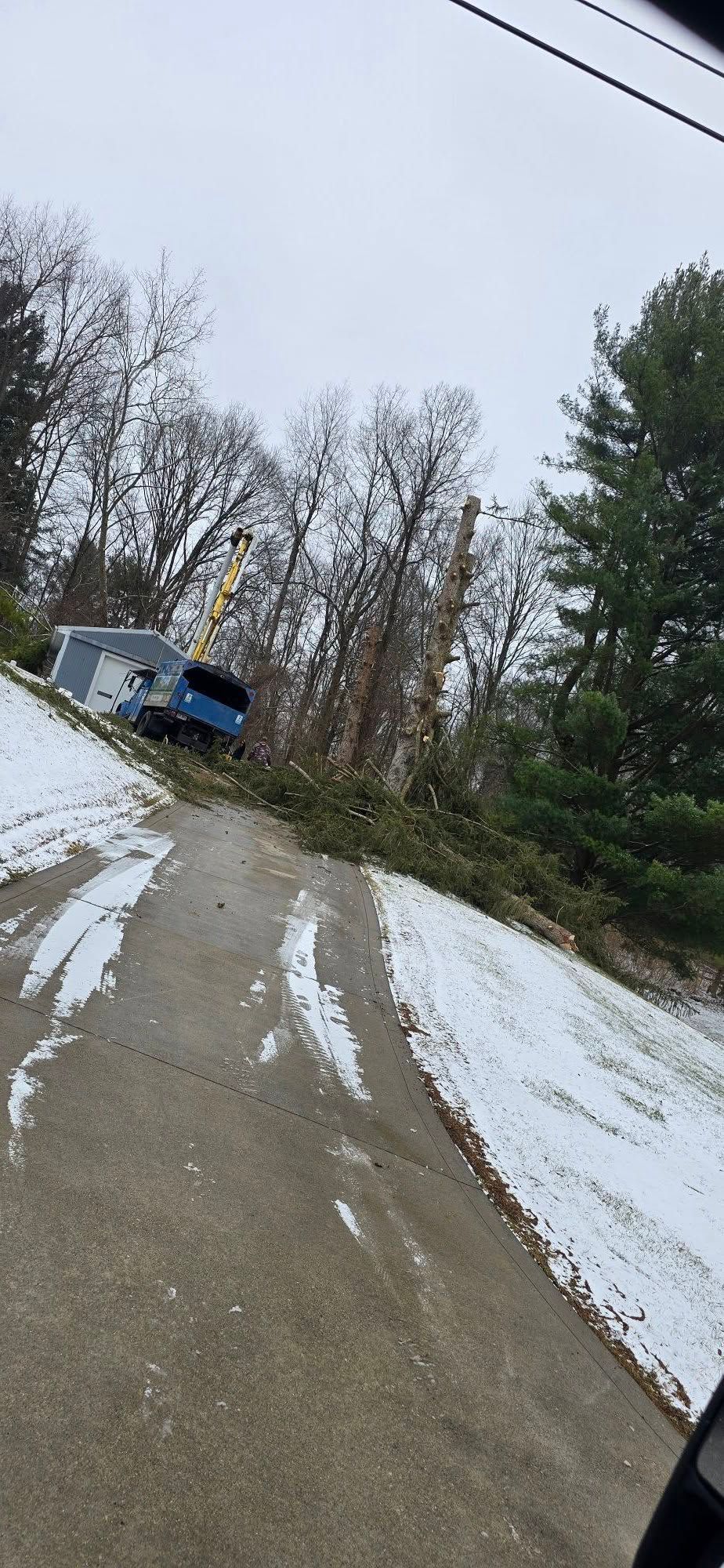 A fallen tree blocks a snow-covered driveway, with a blue truck parked in the background.