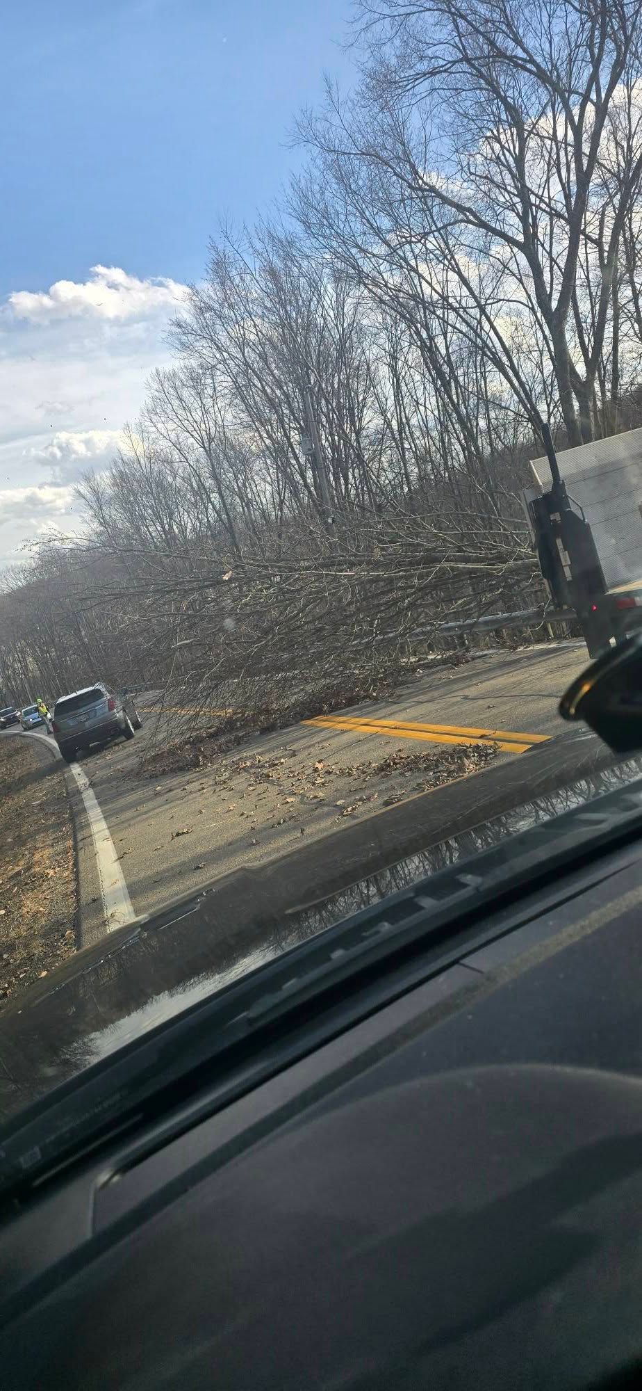 View from a car windshield showing a road littered with debris and fallen tree branches under a bright blue sky.