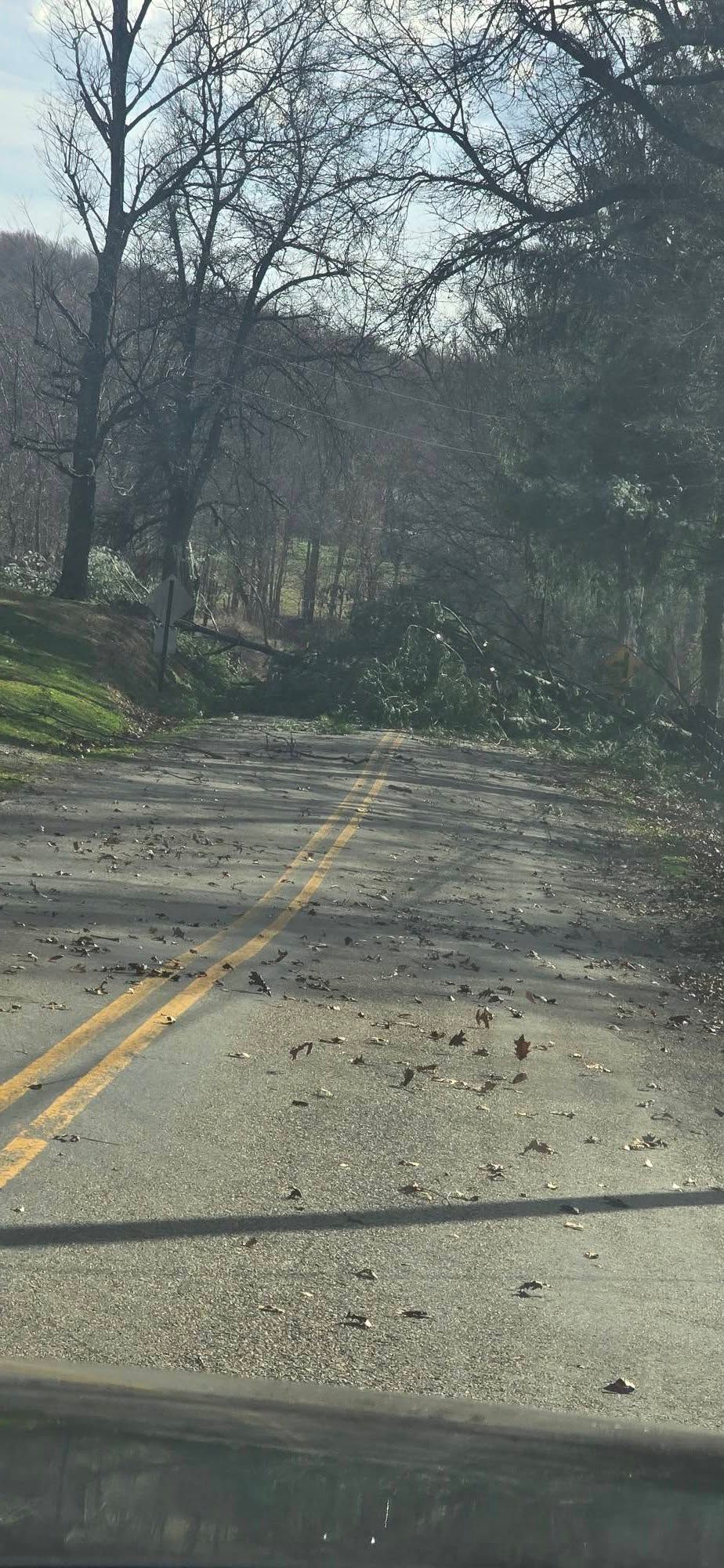 A road blocked by a large fallen tree, with branches and debris scattered across the asphalt in a wooded area.