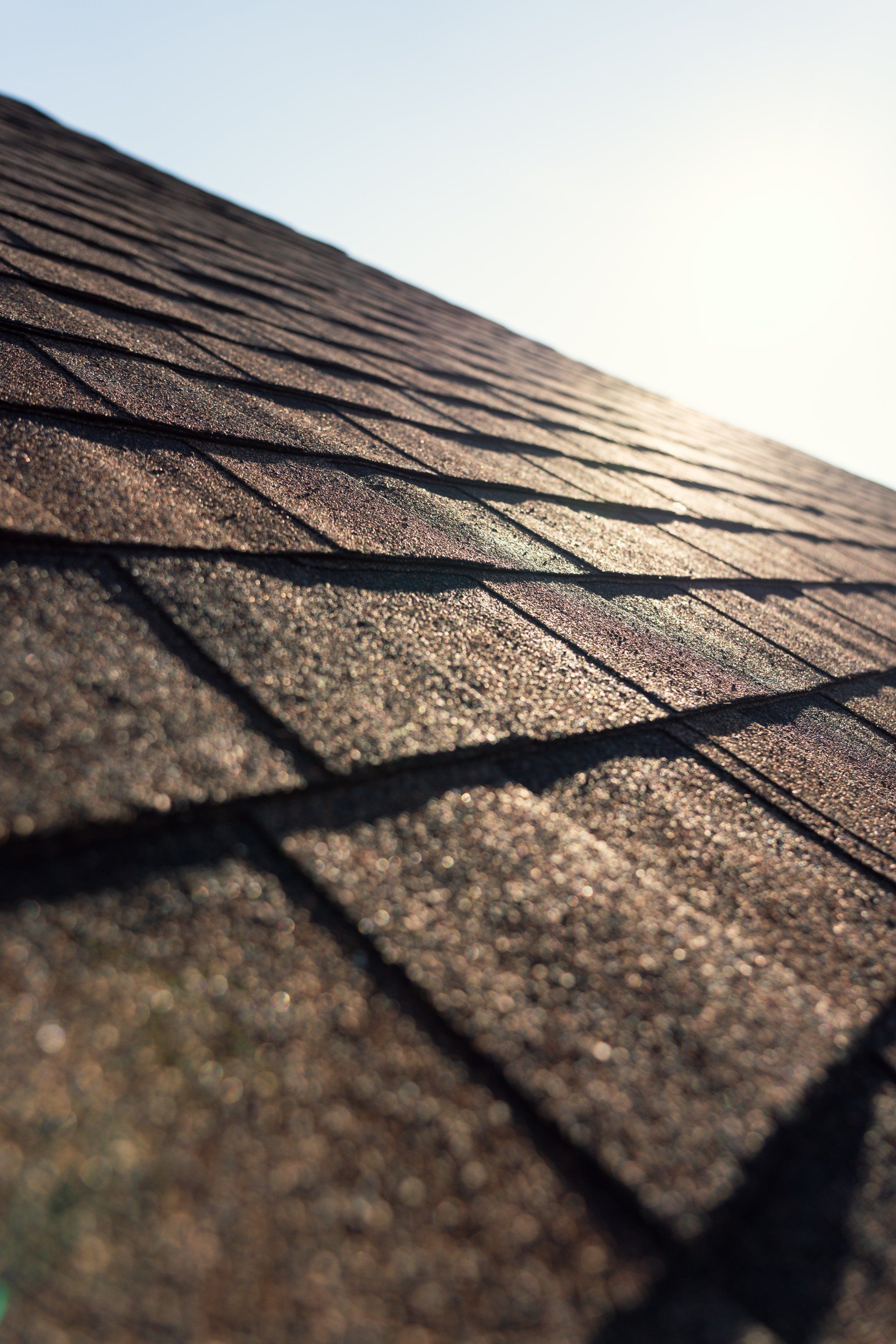 how often should you replace a roof
