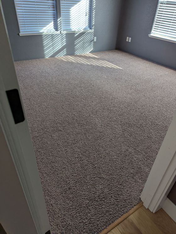 A living room with a carpeted floor and a window with blinds.