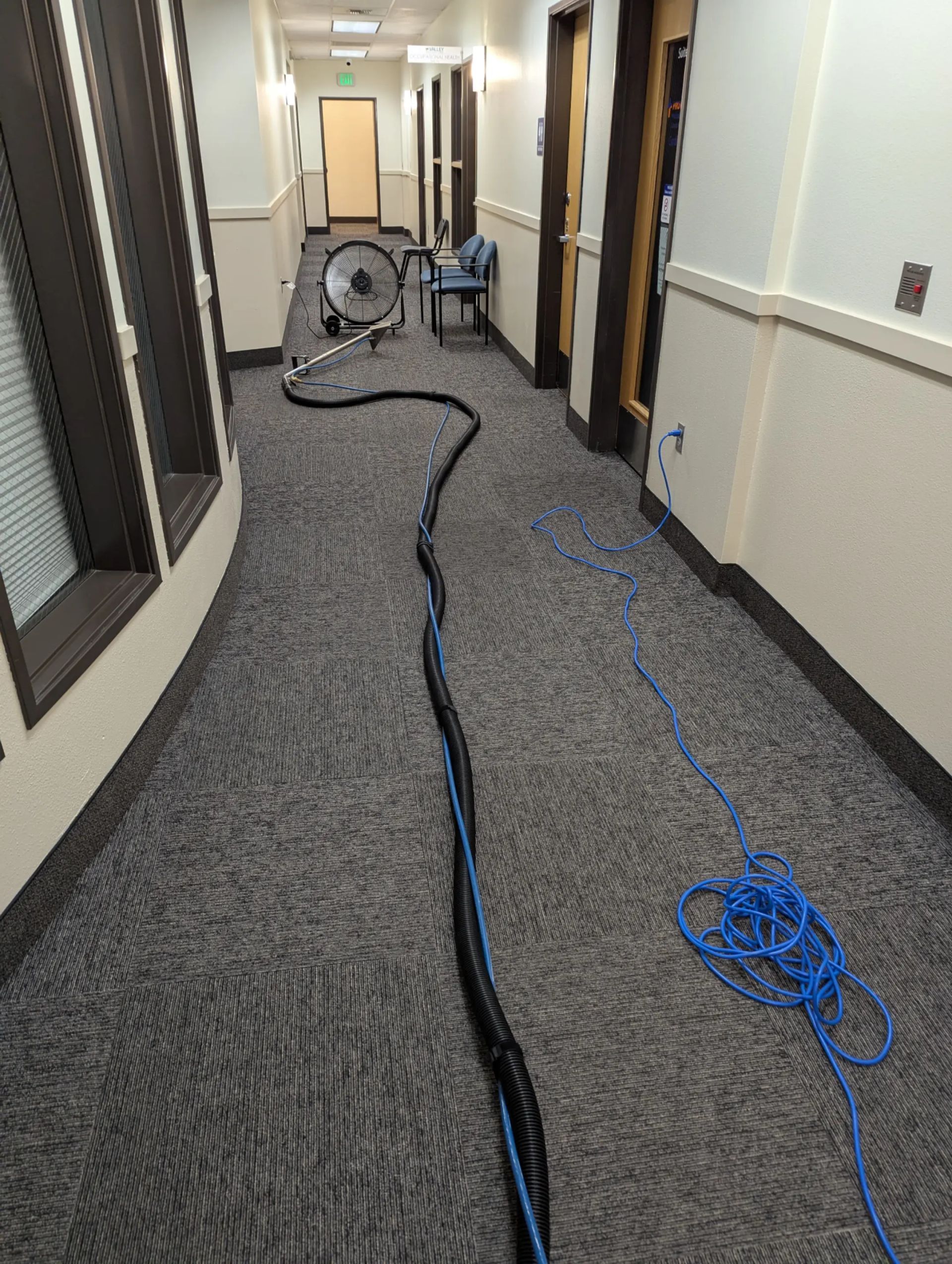 A black and white photo of a vacuum cleaner cleaning a carpet.