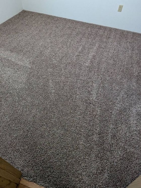 A close up of a vacuum cleaner on a carpet.