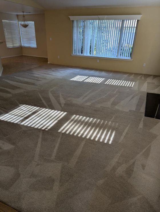 A room with a carpeted floor and a white wall.