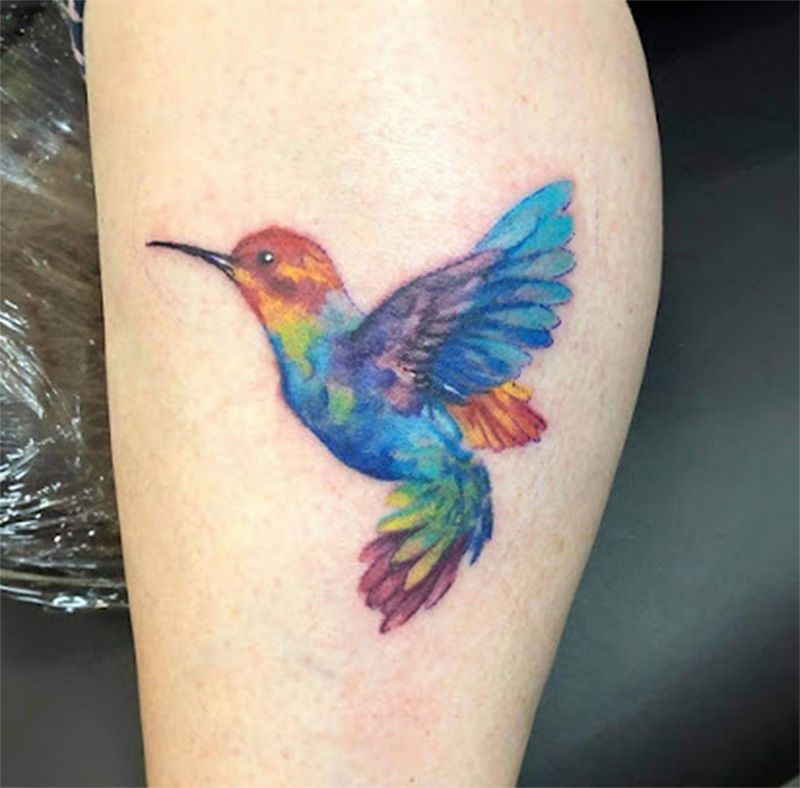A colorful hummingbird tattoo on a person 's leg
