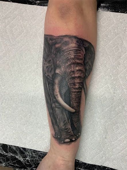 A person has a tattoo of an elephant on their leg.