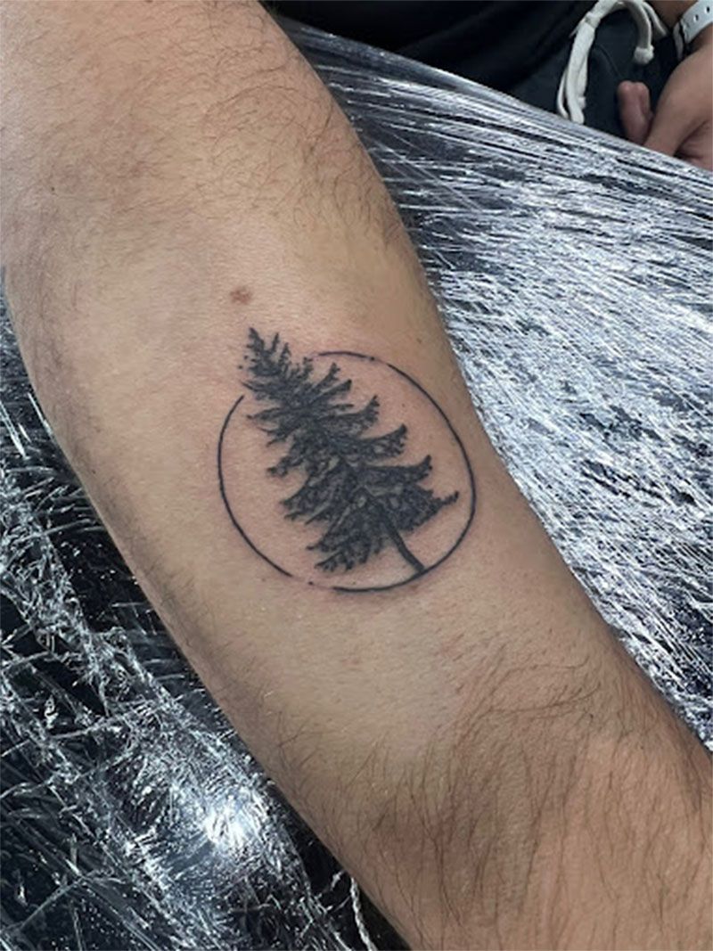 A person has a tattoo of a pine tree in a circle on their forearm.