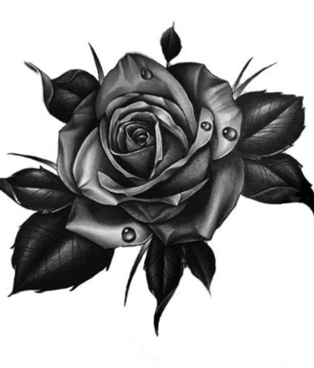 A black and white drawing of a rose with leaves