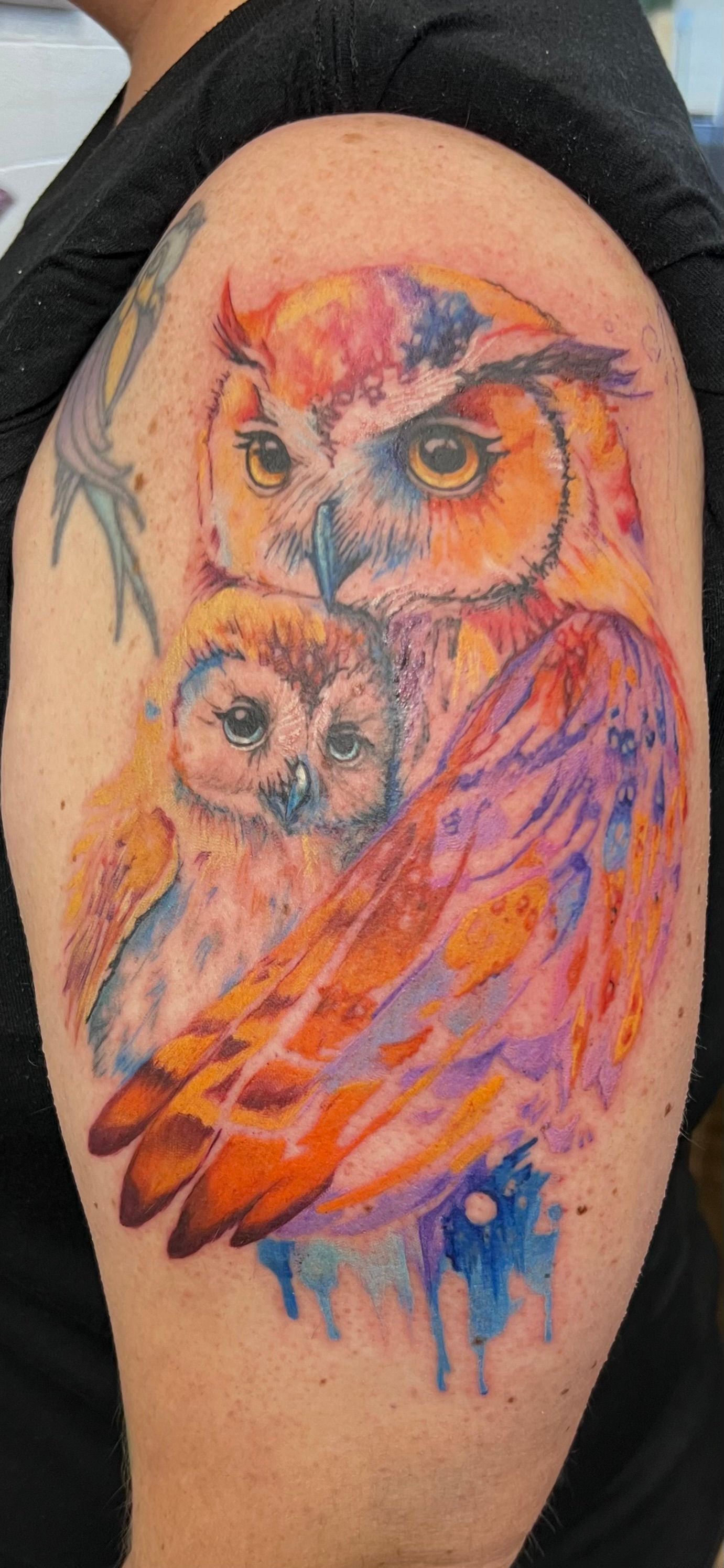Watercolor owl tattoo on a person's arm, featuring a larger owl and a smaller one. Bright colors, artistic style.