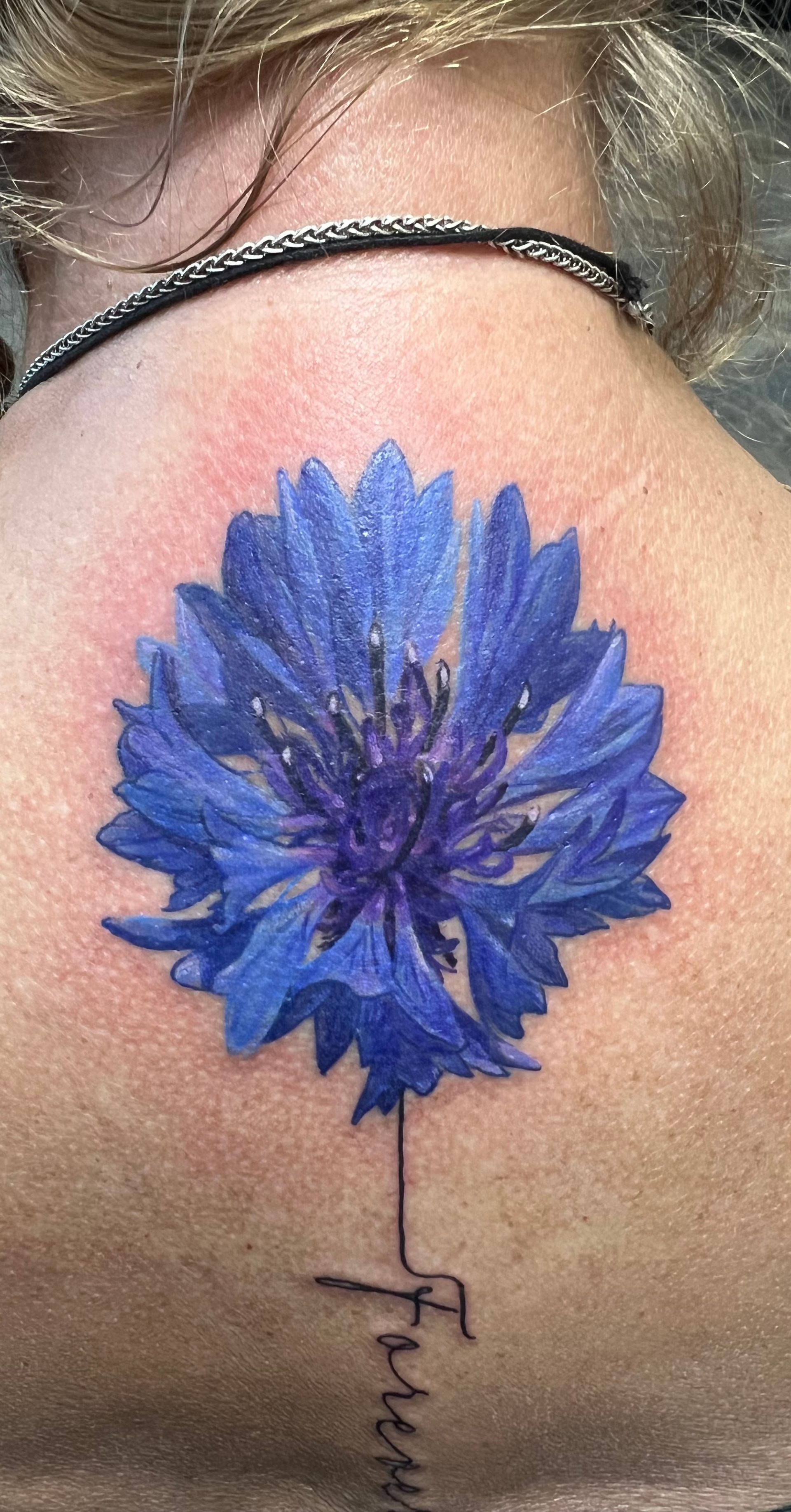 Blue cornflower tattoo on back with