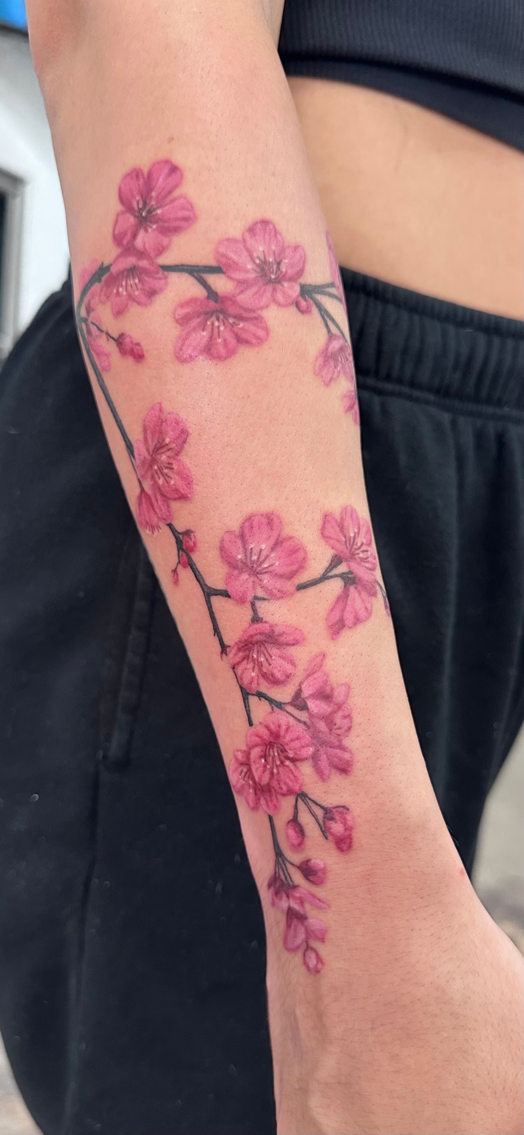 A forearm tattoo of pink cherry blossoms on a branch.