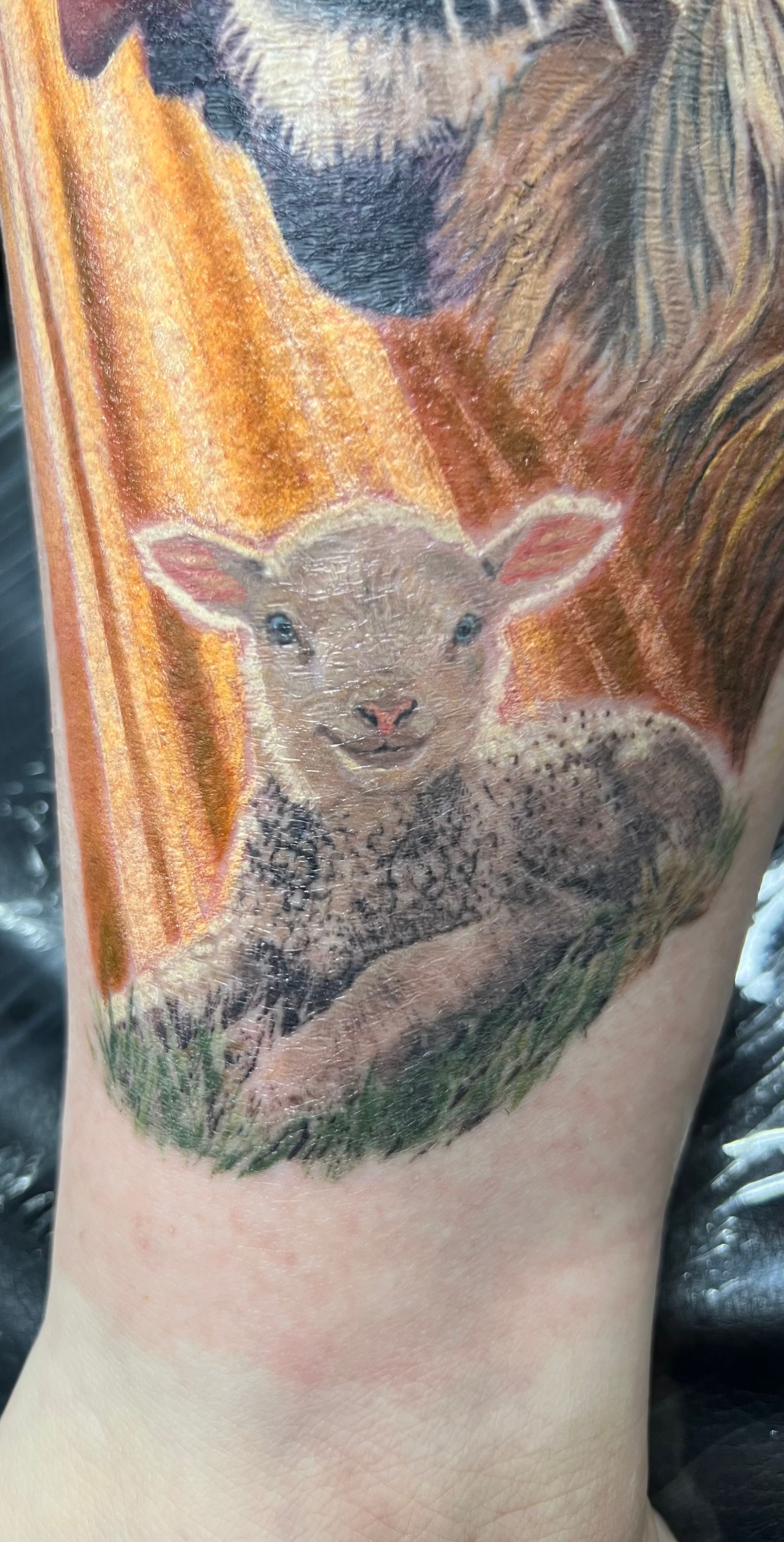 Tattoo of a lamb lying in grass with a lion's head above, against an orange background.