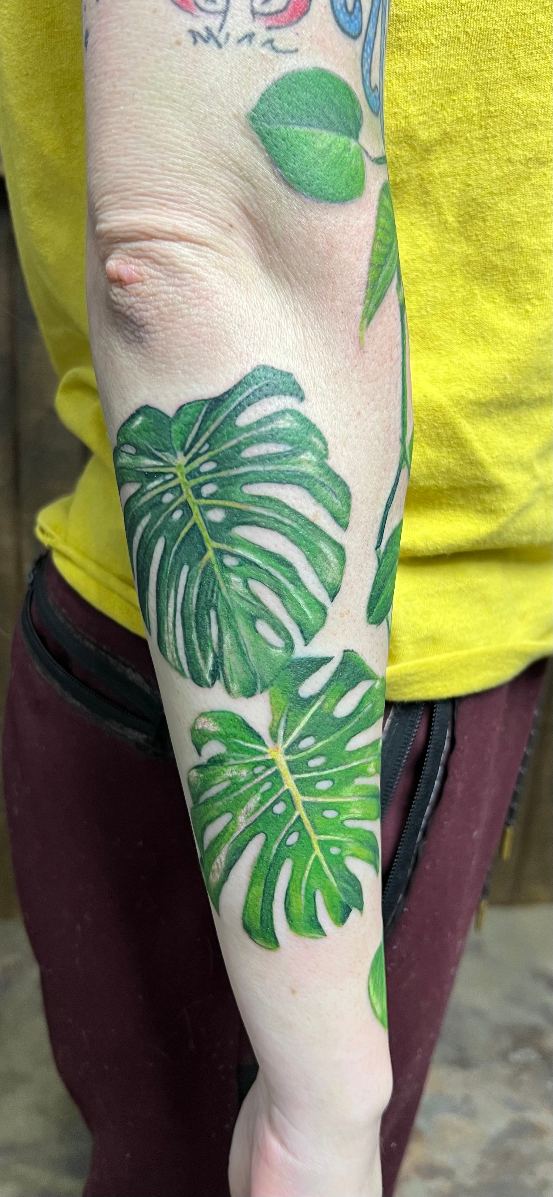 Tattoo of green Monstera leaves on a person's arm, against a yellow shirt and maroon pants.