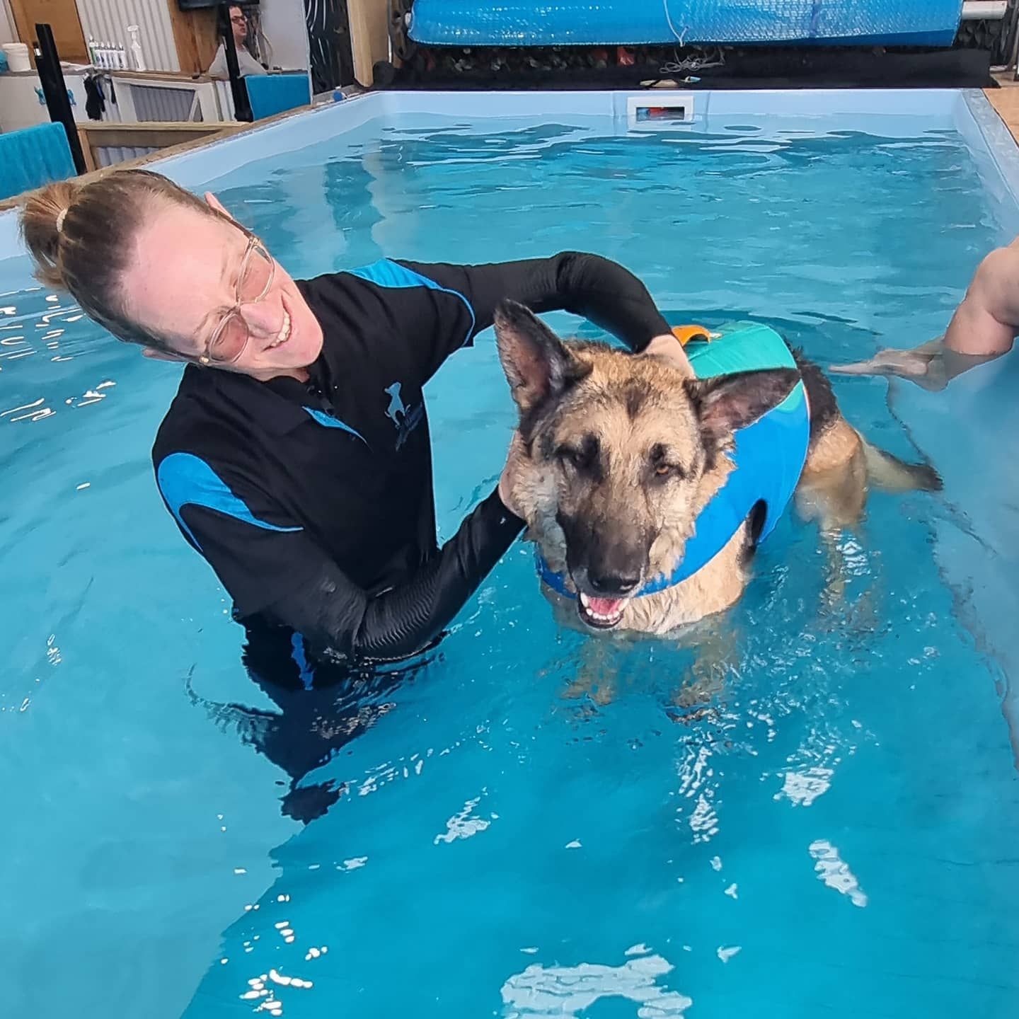 a dog getting swimming lessons from a hydrotherapist