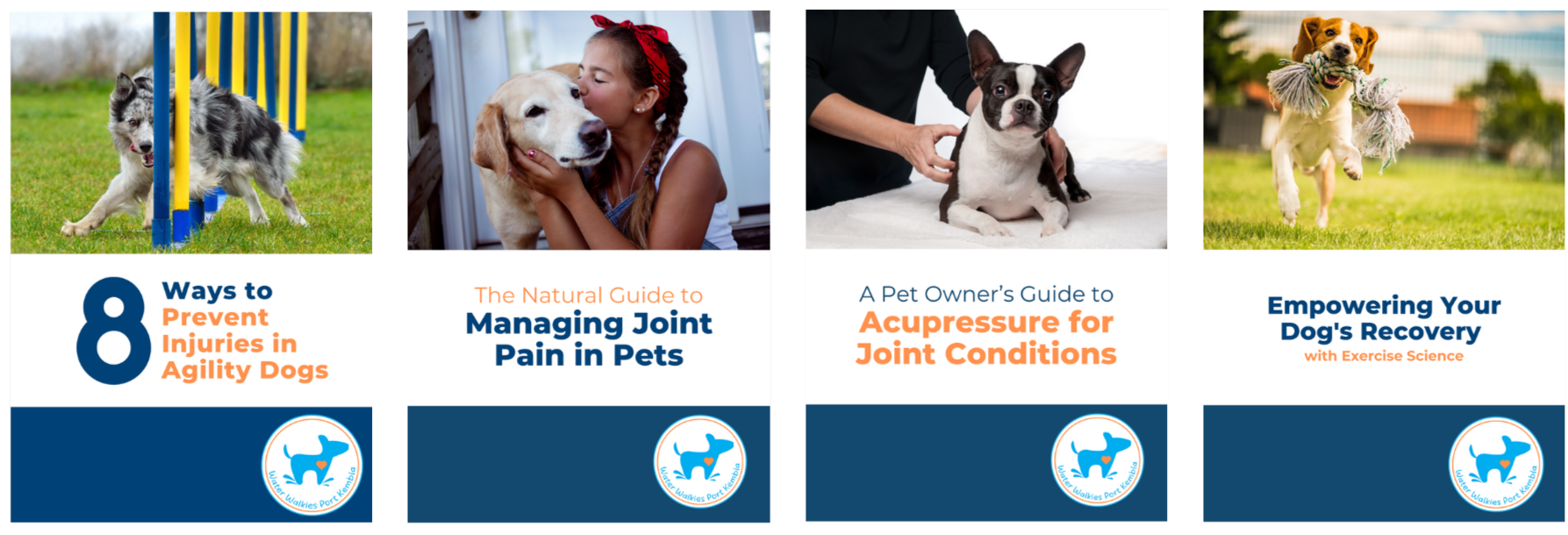 water walkies downloadable resources free and paid guides