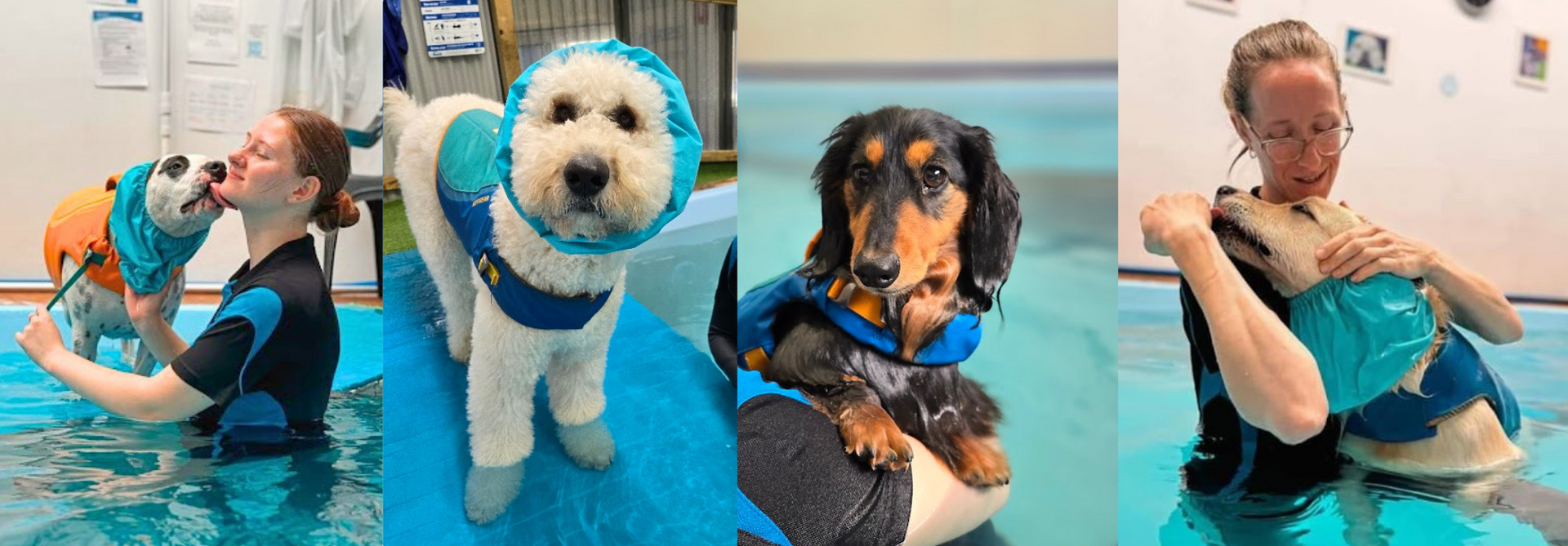 Water Walkies hydrotherapy pool