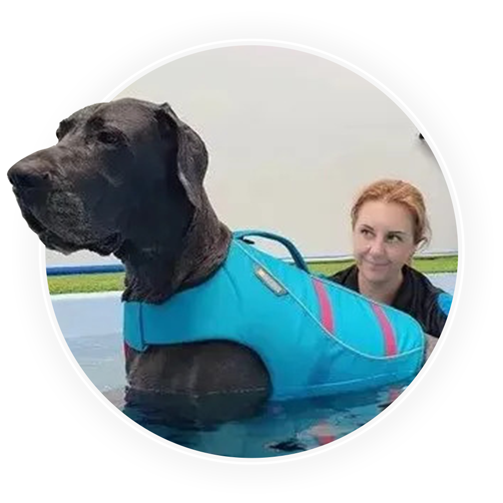 Catherine, Director at Water Walkies