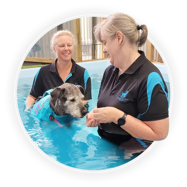 two hydrotherapists with dog client