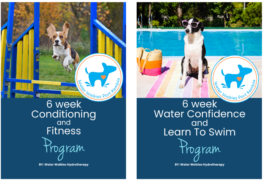 water walkies programs