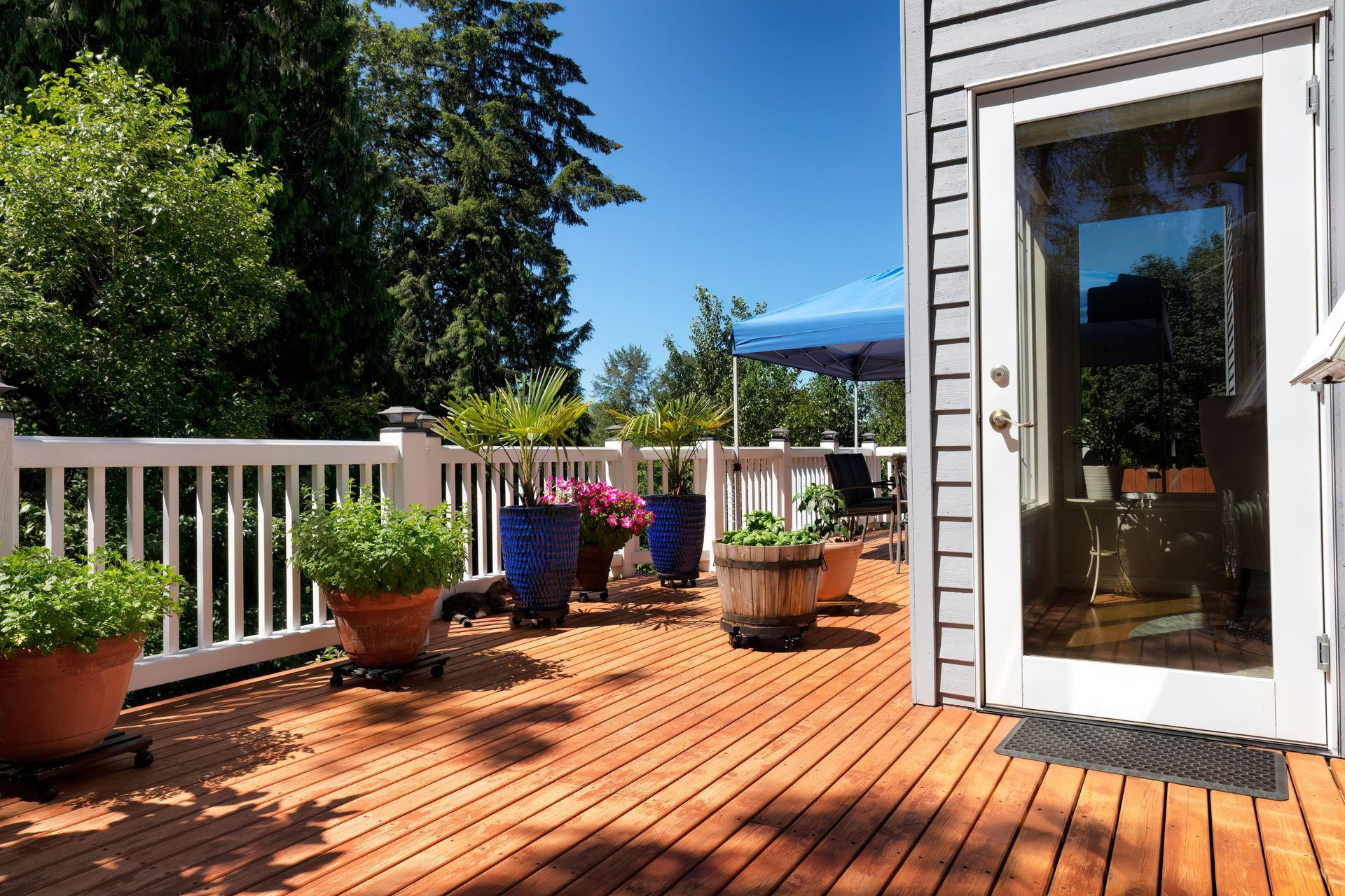 Wooden deck with potted plants, white railing, and glass door on a sunny day.