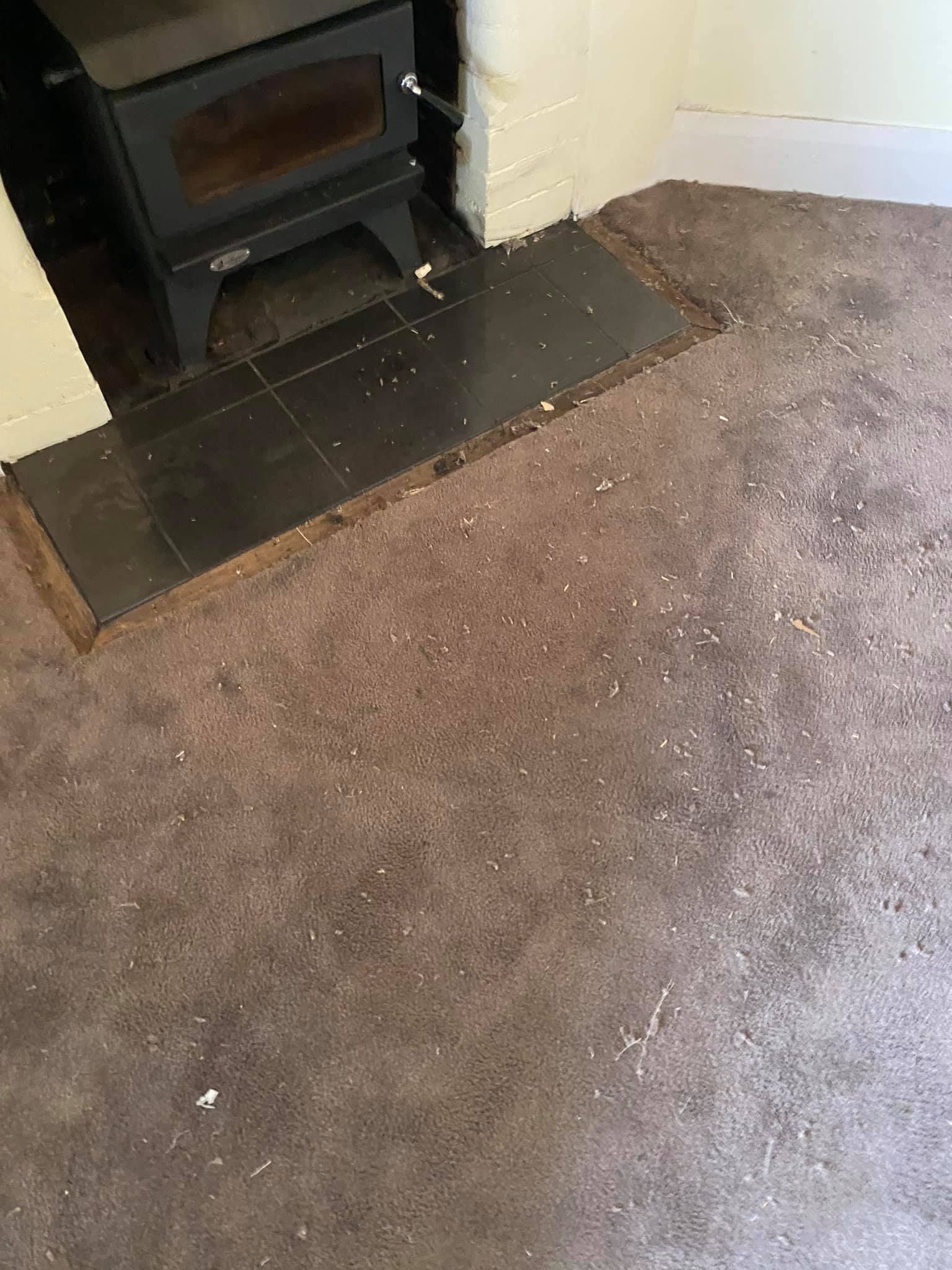 There Is A Wood Stove In The Corner Of The Room – Hobart, TAS - Martin Baker Carpet Repair