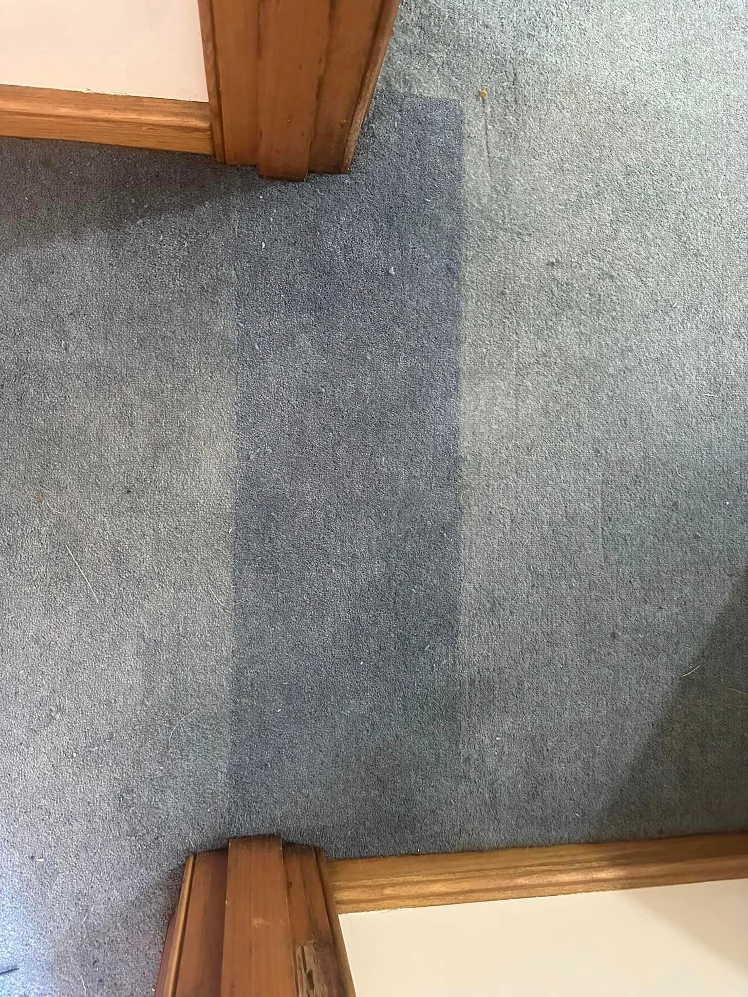 A Close Up Of A Carpeted Floor In A Room – Hobart, TAS - Martin Baker Carpet Repair