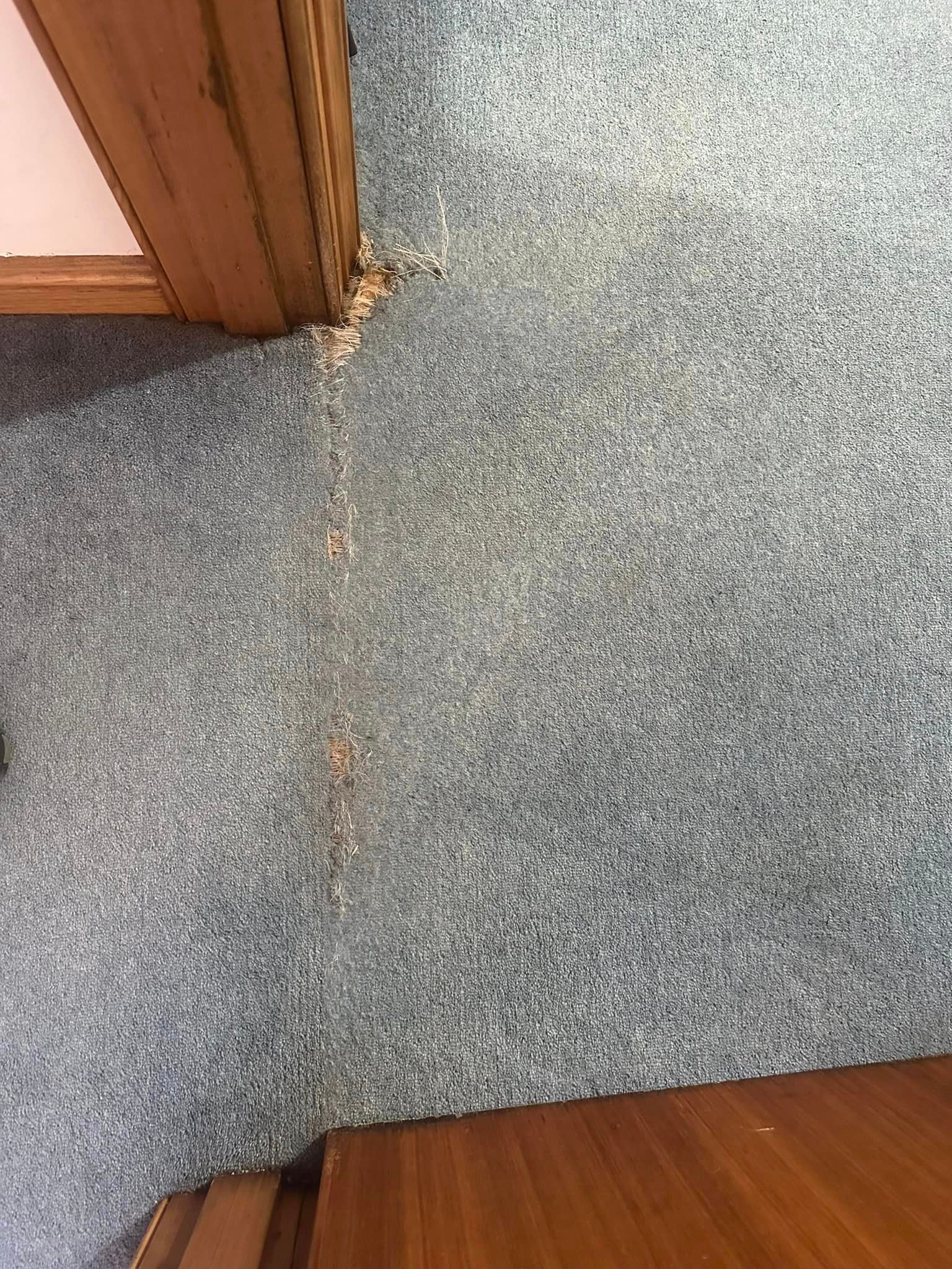 A Close Up Of A Carpeted Floor Next To A Wooden Door – Hobart, TAS - Martin Baker Carpet Repair