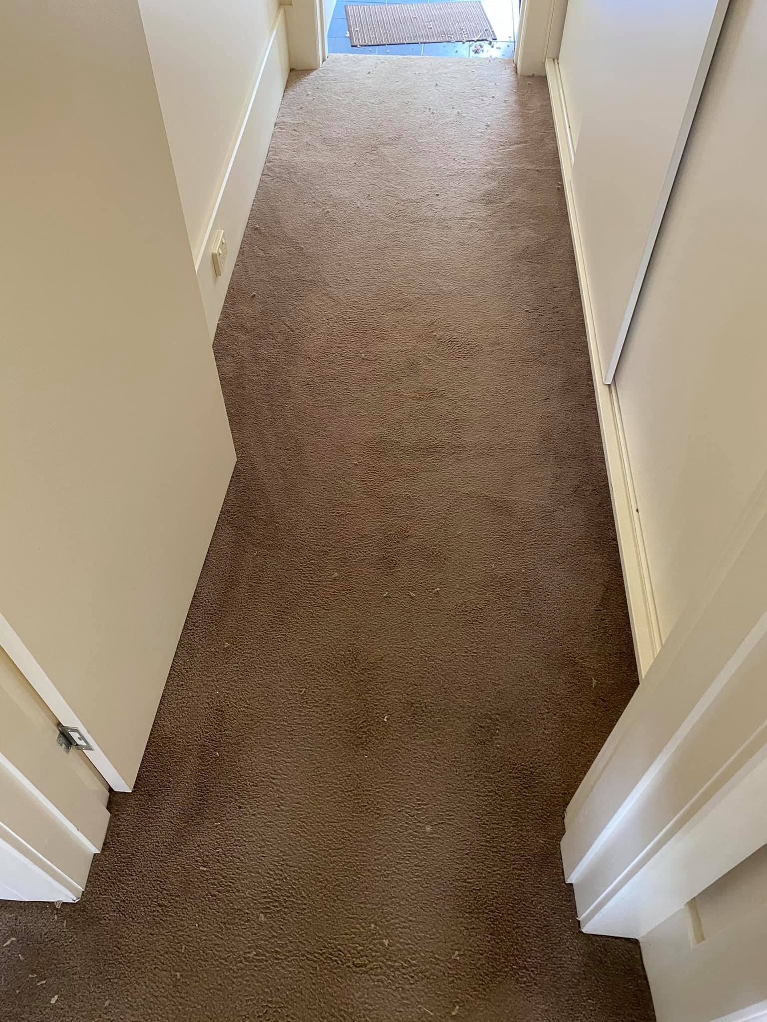 Carpet Stretching After – Hobart, TAS - Martin Baker Carpet Repair