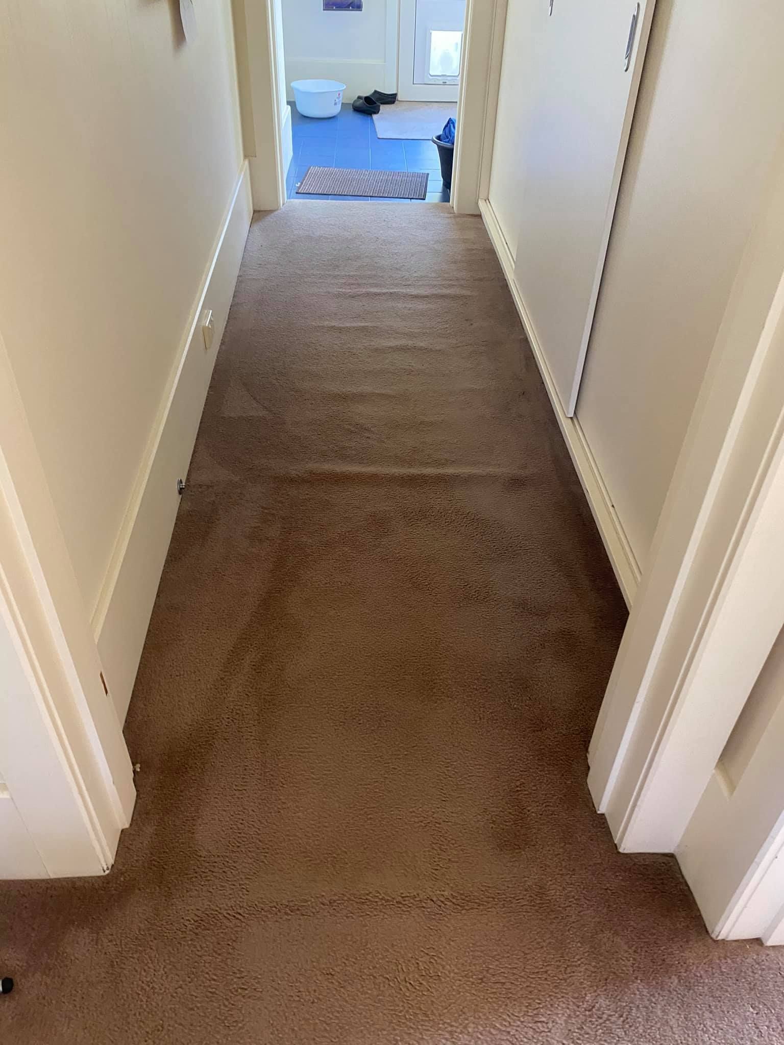 Carpet Stretching Before– Hobart, TAS - Martin Baker Carpet Repair