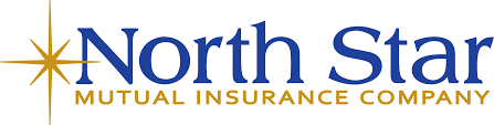 A black and white logo for scottsdale insurance company