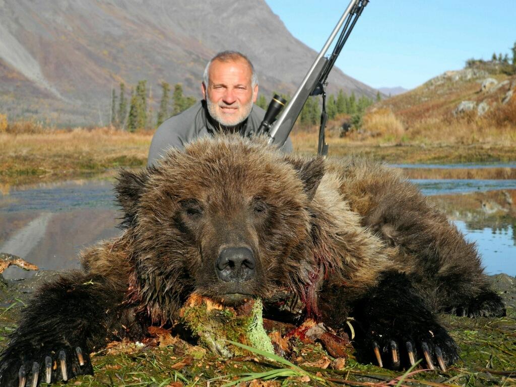 Alaska Grizzly Bear hunting, Alaska Grizzly bear hunt, Alaska Mountain Grizzly bear hunting