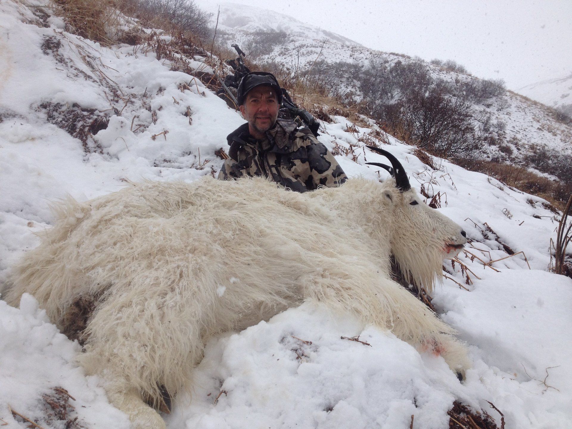 Alaska mountain goat hunting, Alaska mountain goat hunting guide, Alaska mountain goat hunting outfitter