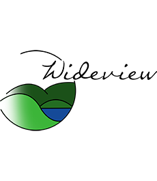 Wideview Public School