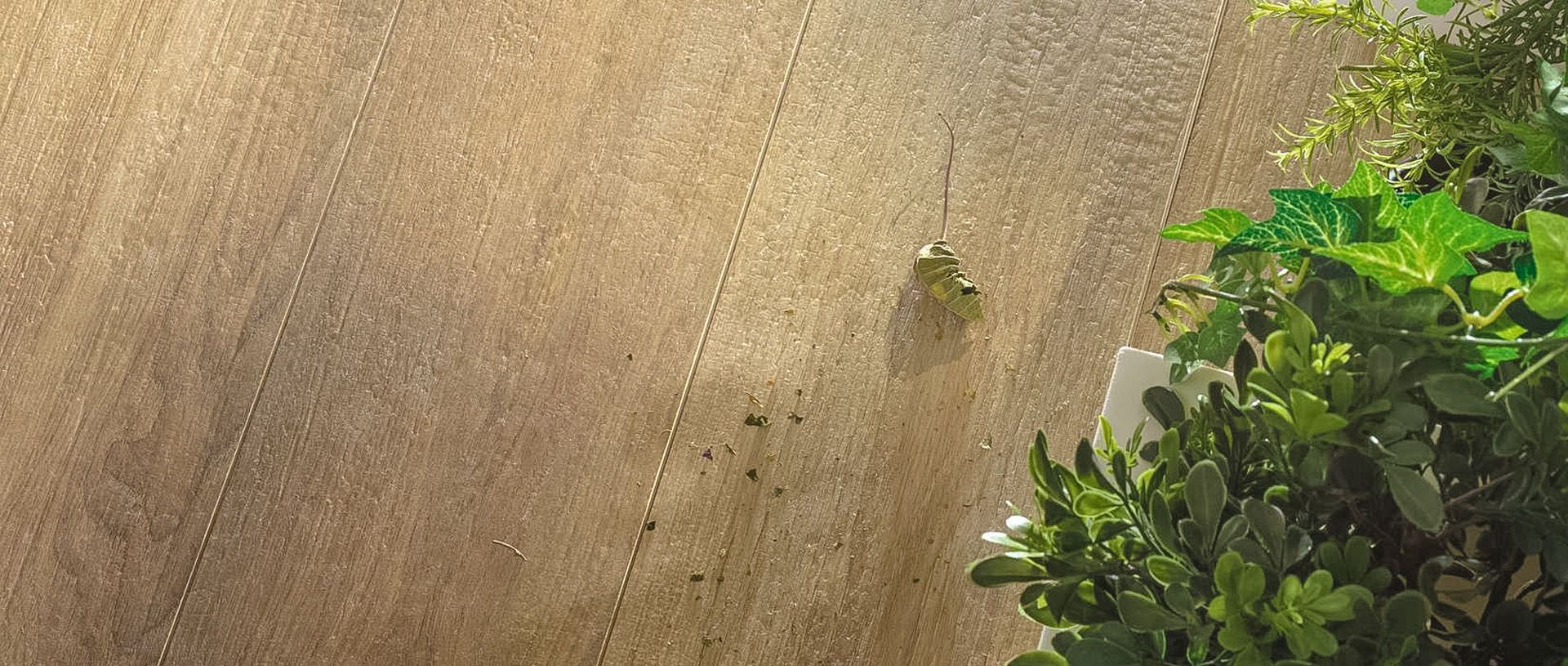 Eine Nahaufnahme einer Betonfliesenoberfläche mit einer Pflanze im Vordergrund.