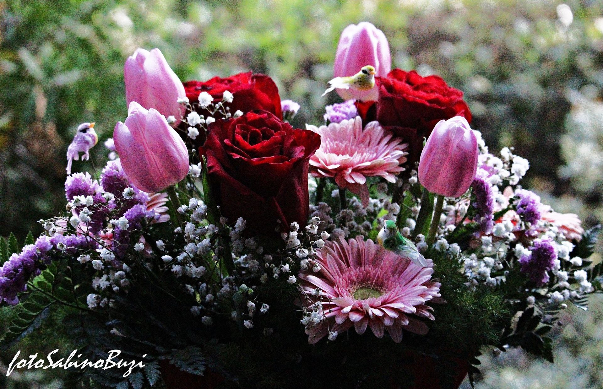 Allestimento matrimionio e unioni civili Viterbo