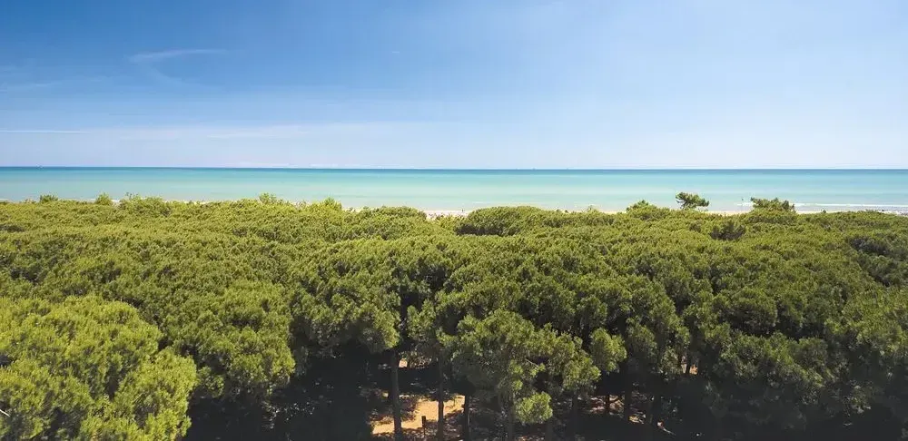 Hotel a Cervia. Hotel Milano Marittima. Hotel gay friendly Cervia.