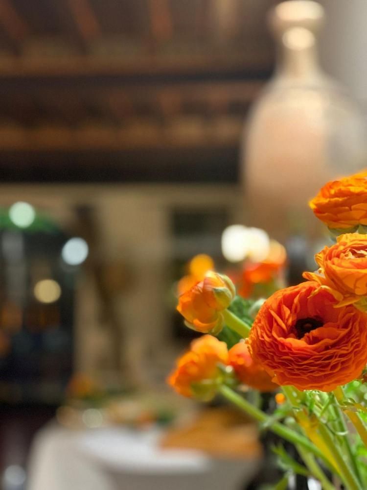 Гражданские браки в Венето