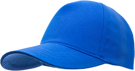 PROSCAPS S.A. DE C.V