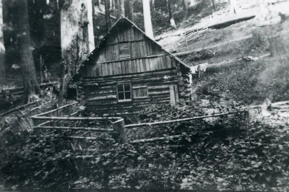Small rustic wooden cabin in a wooded clearing, surrounded by a split-rail fence and hillside trees.
